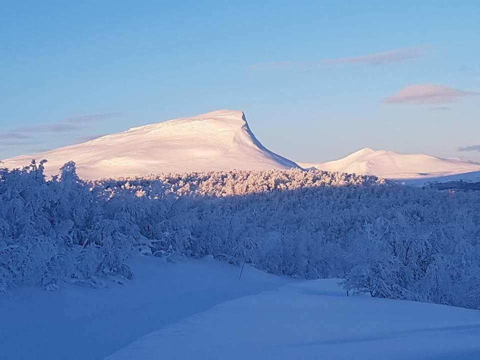 Bruksvallarna - Modern Fjaellstuga Med Panoramautsikt Och Wifi Exterior foto