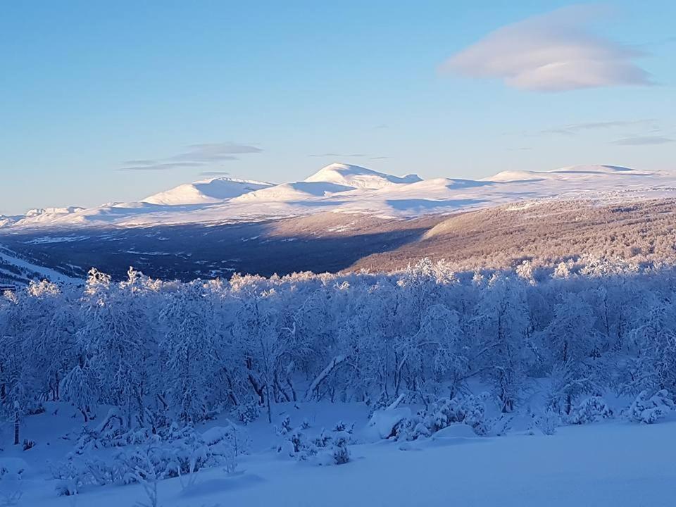 Bruksvallarna - Modern Fjaellstuga Med Panoramautsikt Och Wifi Exterior foto