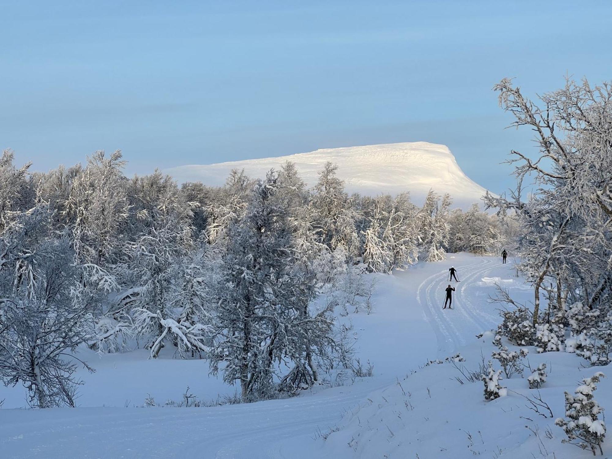 Bruksvallarna - Modern Fjaellstuga Med Panoramautsikt Och Wifi Exterior foto